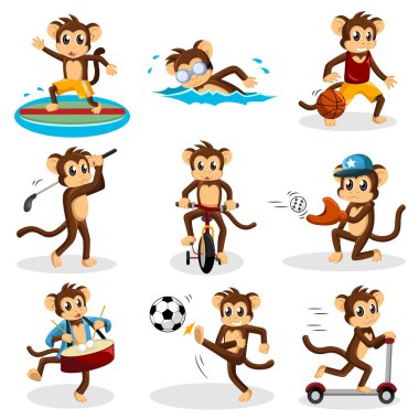 maymun aktivite yapıyor