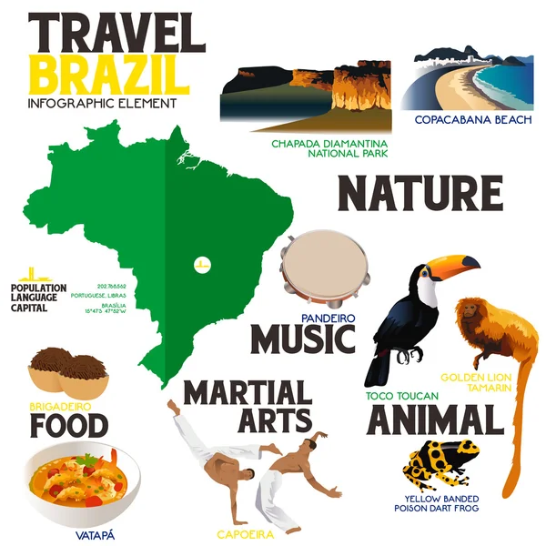 Infographic Elements for Traveling to Brazil — Stock Vector