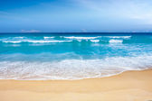 Картина, постер, плакат, фотообои "beautiful beach paradise", артикул 94475584