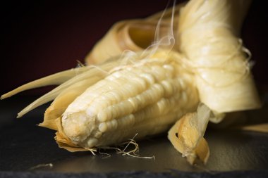 haşlanmış mısır mısır koçanı siyah saç ve koyu arka plan