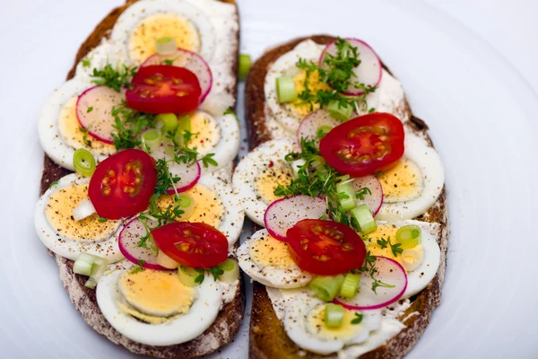 Kawałek chleba bruschetta brown — Zdjęcie stockowe