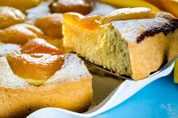 Gâteau à l'abricot fait maison — Photo