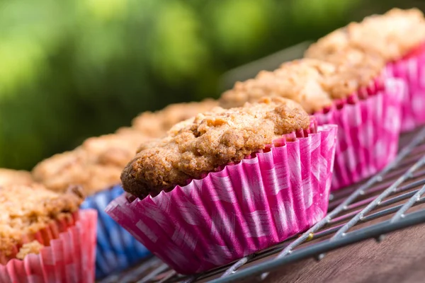 Kávový dort muffiny — Stock fotografie