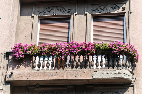 Varanda velha com vasos de flores — Fotografia de Stock