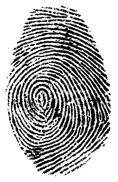 Fingerprint vector illustration — Stock Vector