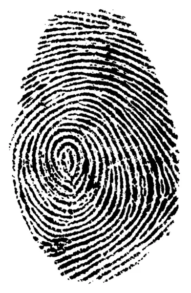 Fingerprint vektor illustration — Stock vektor