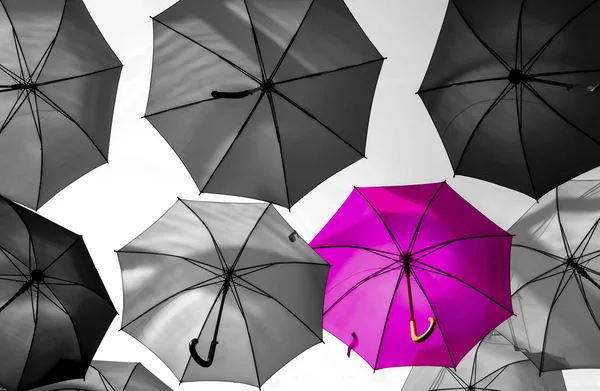 Umbrella standing out from the crowd unique concept — Stock Photo, Image