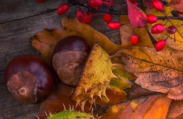 Őszi levelek fából készült háttér — Stock Fotó