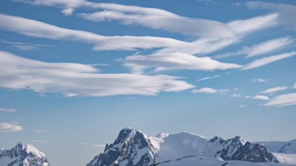 Landskap med snöberg på molnig dag i Antarktis vid timelapse antenn utsikt. Fryst fena — Stockvideo