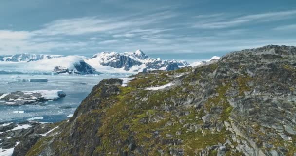 Montanha verde na antártica baía oceânica aérea. Natureza surpreendente de rocha de vegetação em icebergs cobertos de neve — Vídeo de Stock