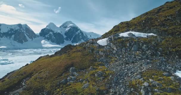 Mountain rocks, mosses at antarctic landscape with hiking tourist. Epic nature variety of Antarctica — Stock Video