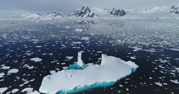 IJsbergen smelten, oceaanijs, sneeuwkust. Luchtfoto 's. Milieu aardopwarming — Stockvideo