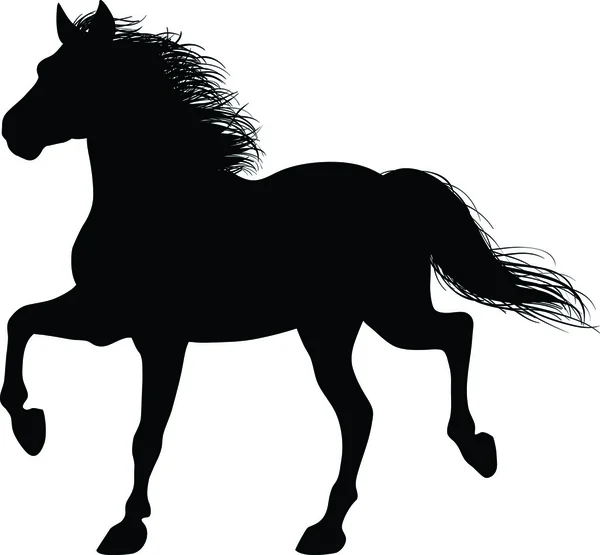 Un caballo corre — Vector de stock