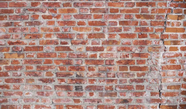 The Brick wall — Stock Photo, Image