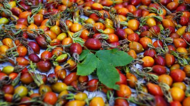 bir kuşburnu çilek