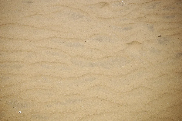 Texture of a sand — Stock Photo, Image