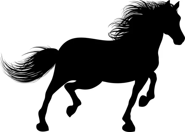 Un cheval court — Image vectorielle