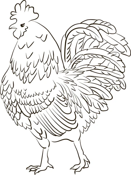 Sketch of a cartoon rooster — Stock Vector