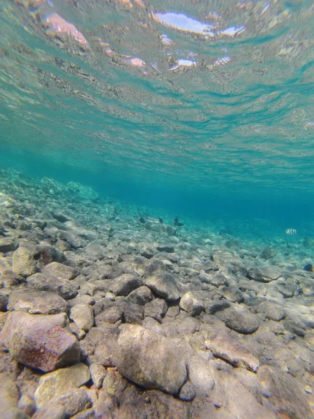 Pedras e corais no fundo do mar — Fotografia de Stock