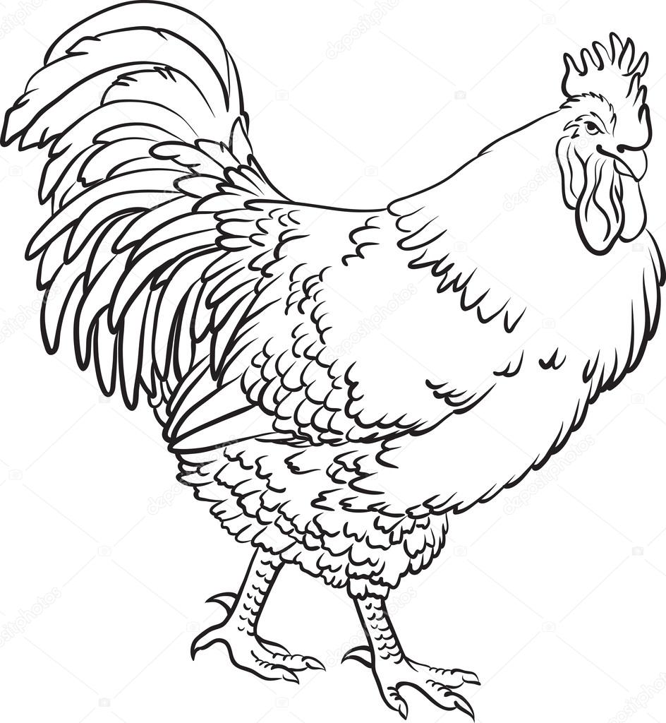 Sketch of a cartoon rooster Stock Vector Image by ©AmeKamura #123793660