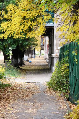 Sonbaharda bir şehirde kaldırım