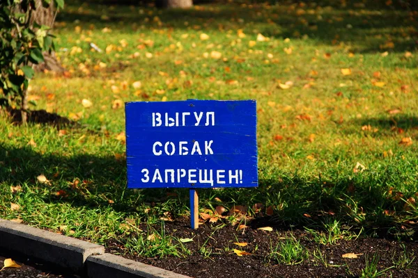 En blå tablett på en gräsmatta — Stockfoto