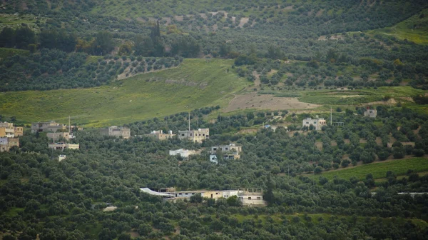 Jordan kış — Stok fotoğraf