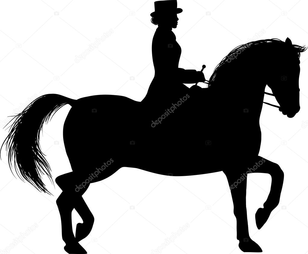 Silhouette of a Woman on horseback