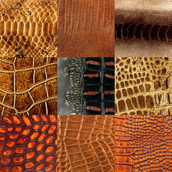 Textura de cuero primer plano —  Fotos de Stock