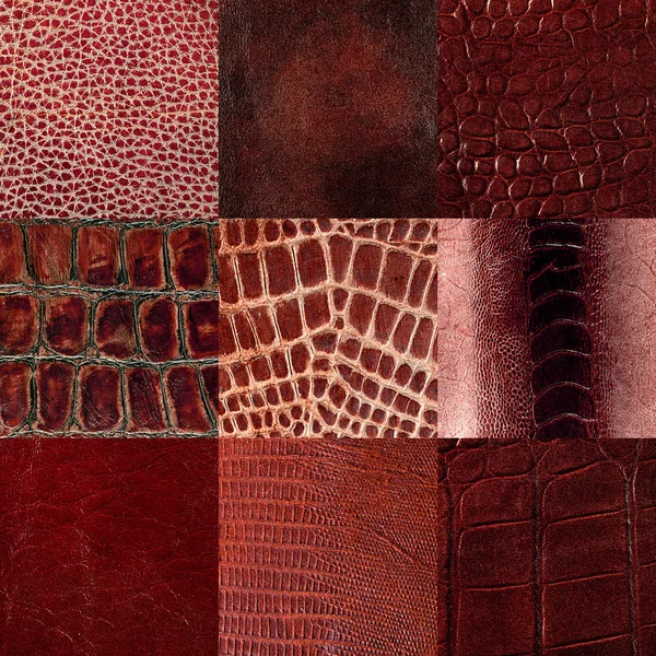 Leather texture closeup — Stock Photo, Image