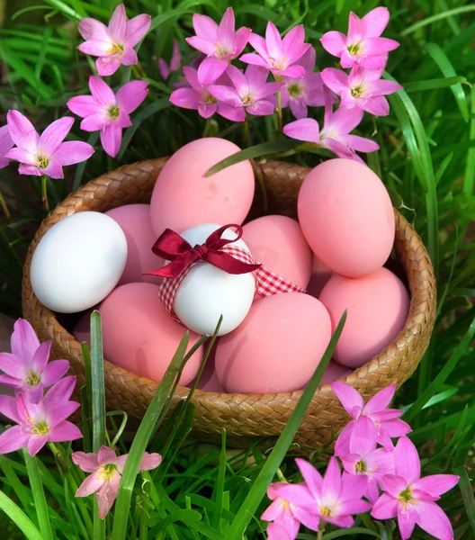 Primavera de ovos de Páscoa — Fotografia de Stock
