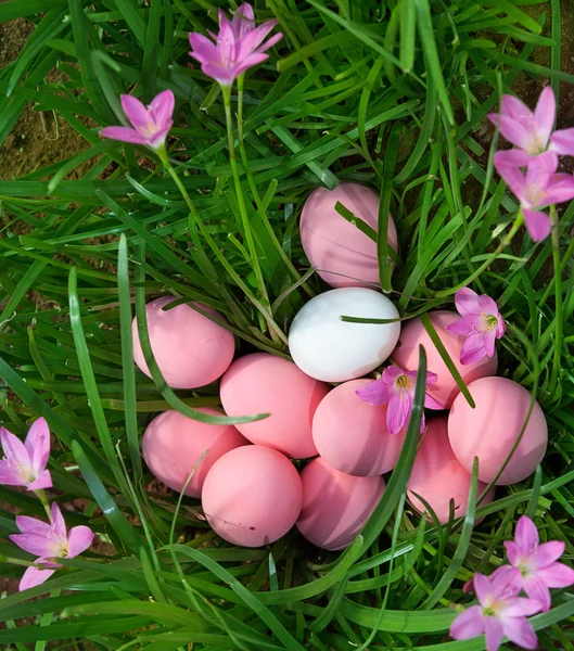 Primavera de ovos de Páscoa — Fotografia de Stock