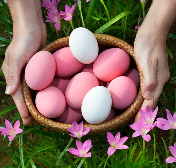 Primavera uova di Pasqua — Foto Stock