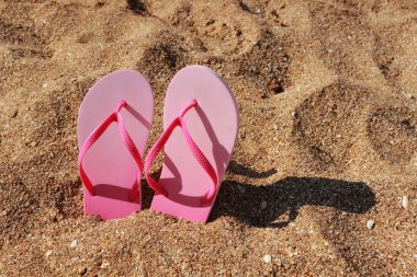 renkli flip flop