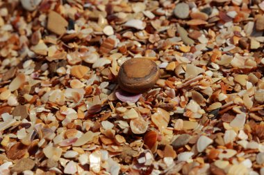 Deniz Karadeniz üzerinde kum