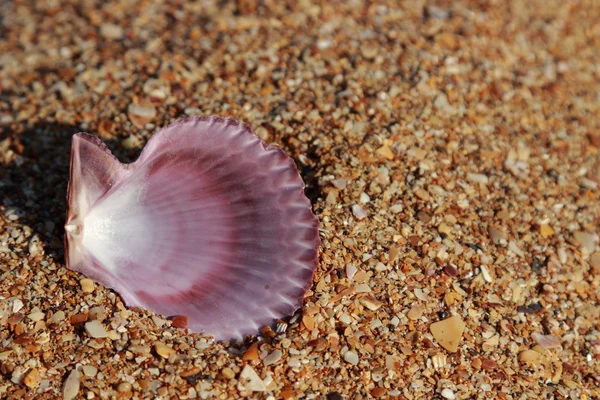 Sand background — Stock Photo, Image