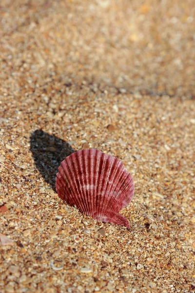 Sandhintergrund — Stockfoto