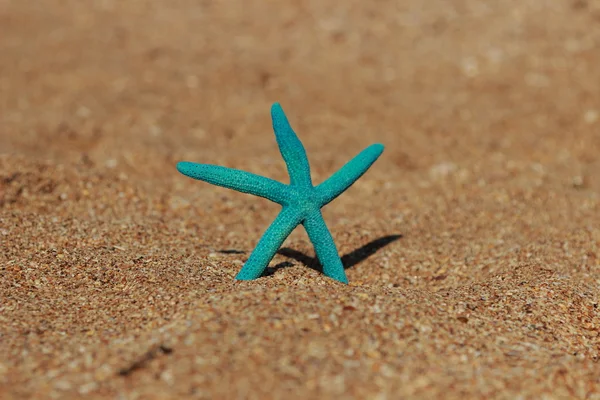 Estrella de mar sobre fondo de arena —  Fotos de Stock