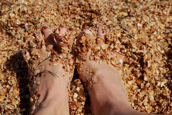 Feet in the wet sand of the sea