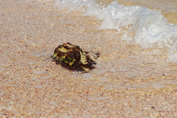 Sandhintergrund — Stockfoto