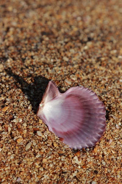 Konzept Zum Thema Sommerfreizeit — Stockfoto