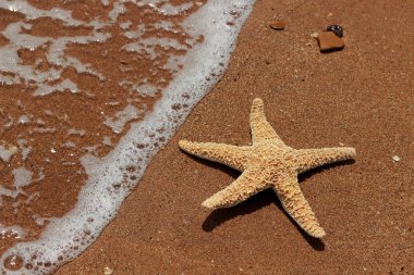 Karadeniz, Doğu Kırım 'ın arka planında denizyıldızı
