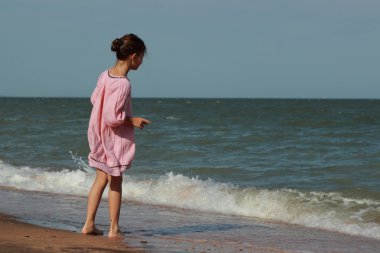 Doğu Kırım 'da yaz mevsiminde yaşamı sağlama kavramı