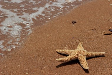 Karadeniz, Doğu Kırım 'ın arka planında denizyıldızı