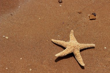Karadeniz, Doğu Kırım 'ın arka planında denizyıldızı