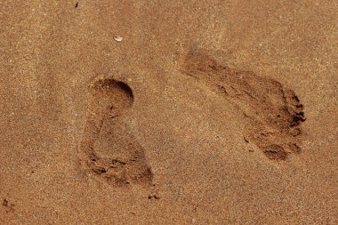 Doğu Kırım 'ın deniz tabanındaki kumsalda ayak izleri.
