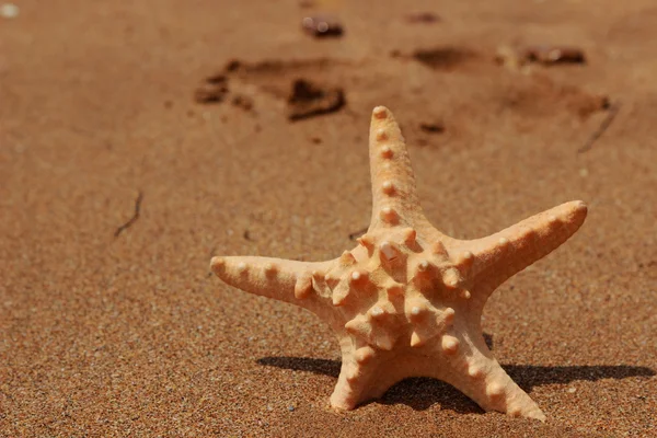 Morze piasek tło — Zdjęcie stockowe
