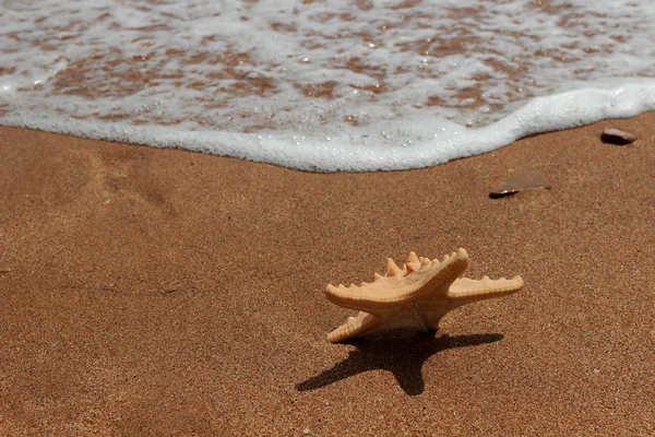 Sea sand background — Stock Photo, Image