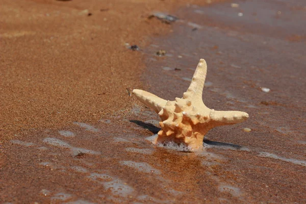 Textura nisip de mare — Fotografie, imagine de stoc