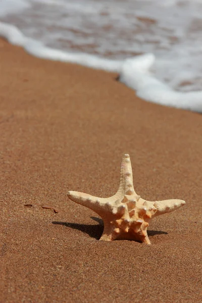 Textura de areia do mar — Fotografia de Stock